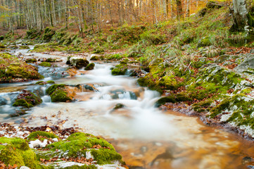 Torrente