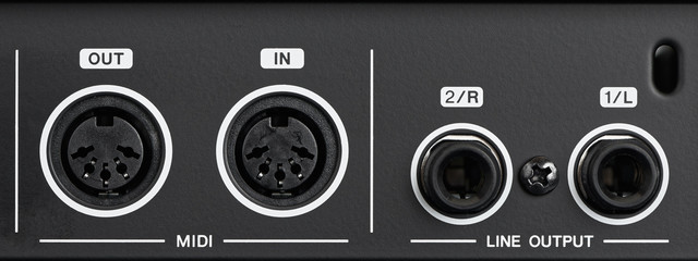 MIDI and audio inputs, outputs.