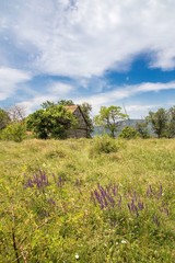 meadow in the banat romania