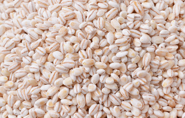 close up of yellow mille