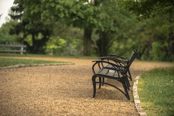 Stylish bench in autumn park