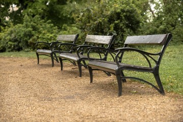 Stylish bench in autumn park