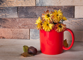 Yellow flowers in red cup