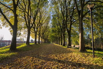 The Walls of Ferrara during autumn