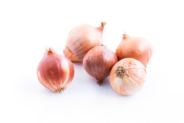Onion on white background.