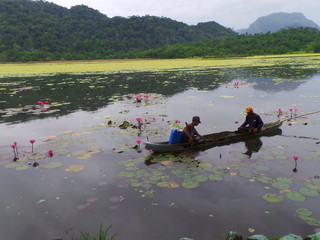 Early morning fishing by the lake