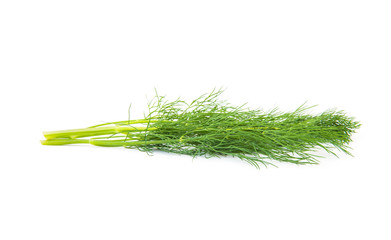 Fresh dill