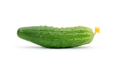 Cucumber isolated on white background