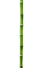 Naklejka premium Bamboo isolated on white