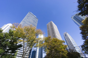 青空の新宿高層ビル街を見上げる。（超広角）