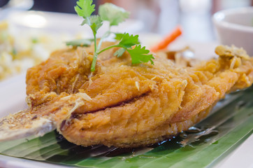 Fish dish