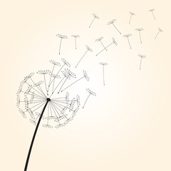 Black vector dandelions