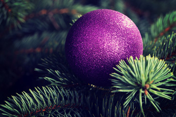 One christmas ball over tree.