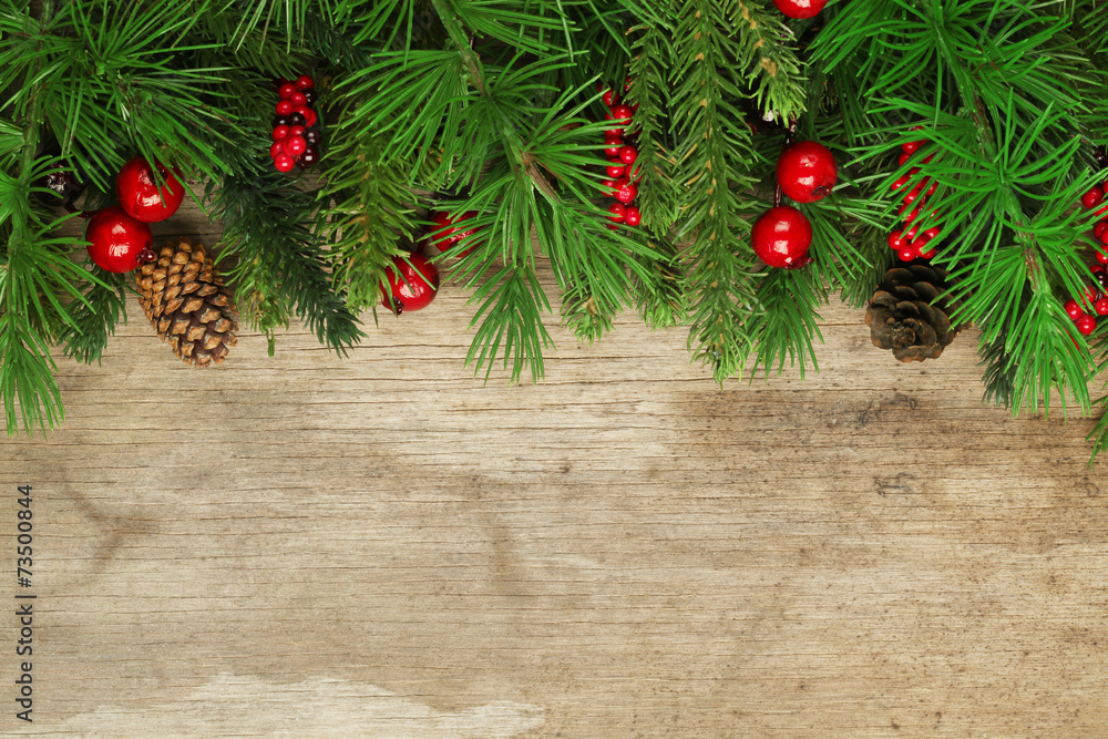 Canvas Prints christmas tree branches background