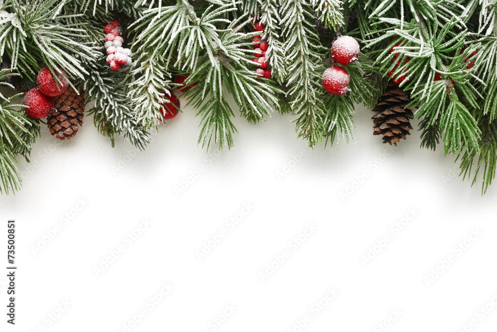 Wall mural christmas tree branches background