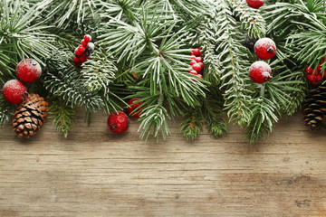 Christmas tree branches background