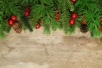 Christmas tree branches background