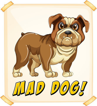 Mad dog