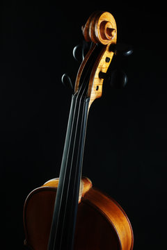 Violin orchestra musical instruments
