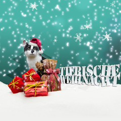 Tierische Weihnacht Cat Christmas Snow