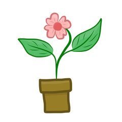 flower isolated illustration