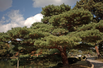 Kenroku Garden, Kanazawa, Japan