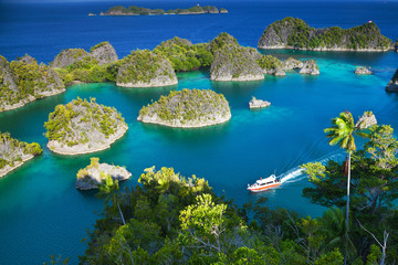 Fam islands Wayang Indonesia