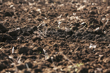 Soil background