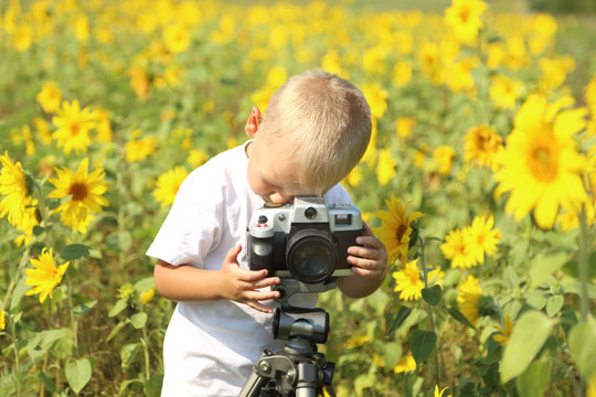 Baby Photographer In The Field Of Sunflowers