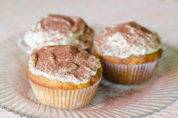 Chocolate Muffins