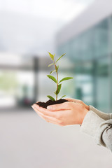 Woman with plant and soil in hand