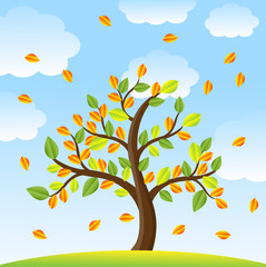 tree with autumn leaves on a background blue sky