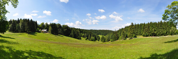 Fototapeta na wymiar Panoramafoto Schwalbenhauptwiese / Thüringer Wald