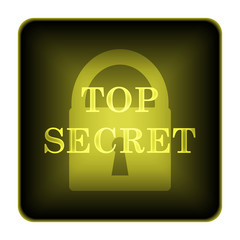 Top secret icon