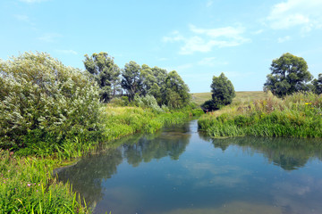 summer landscape