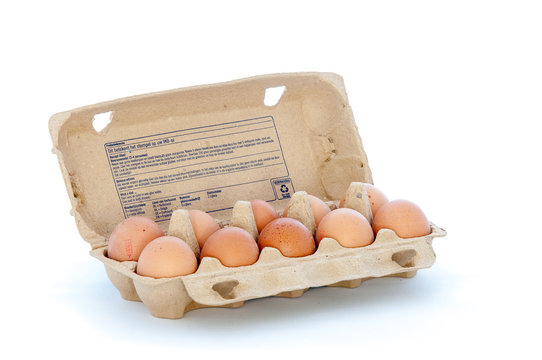 Carton filled with ten eggs