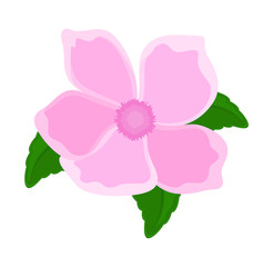 Pink Flower Petals Design