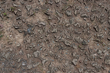 Background of stones and pebbles, texture
