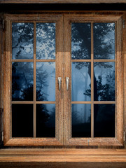 Wooden window and misty forest