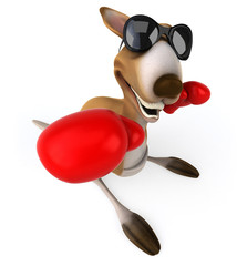 Fun kangaroo © Julien Tromeur