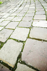 Fototapeta premium Stone