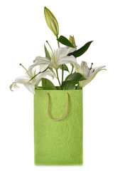 White lily in green bag