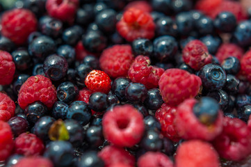 Fresh forest berries