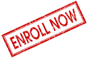 enroll now red square stamp isolated on white background