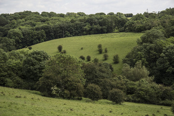 Fototapeta premium Countryside in Bath UK