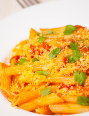 Penne rigate pasta with tomato sauce