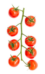 Tomato isolated on white