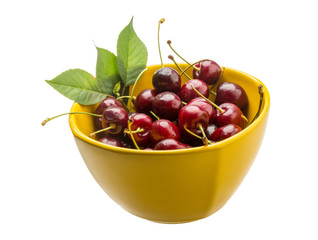 Gean - cherry