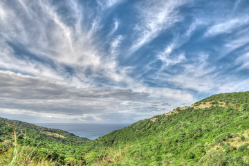 green valley by the sea