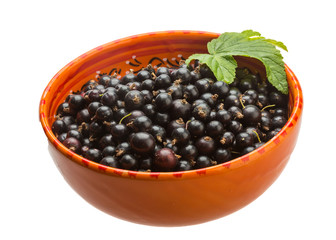 Black currant